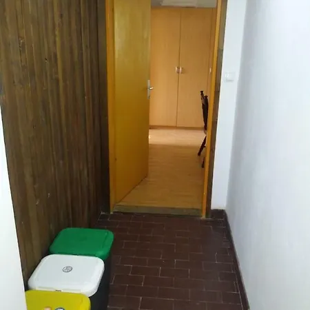 Apartma Melita 公寓 布莱德